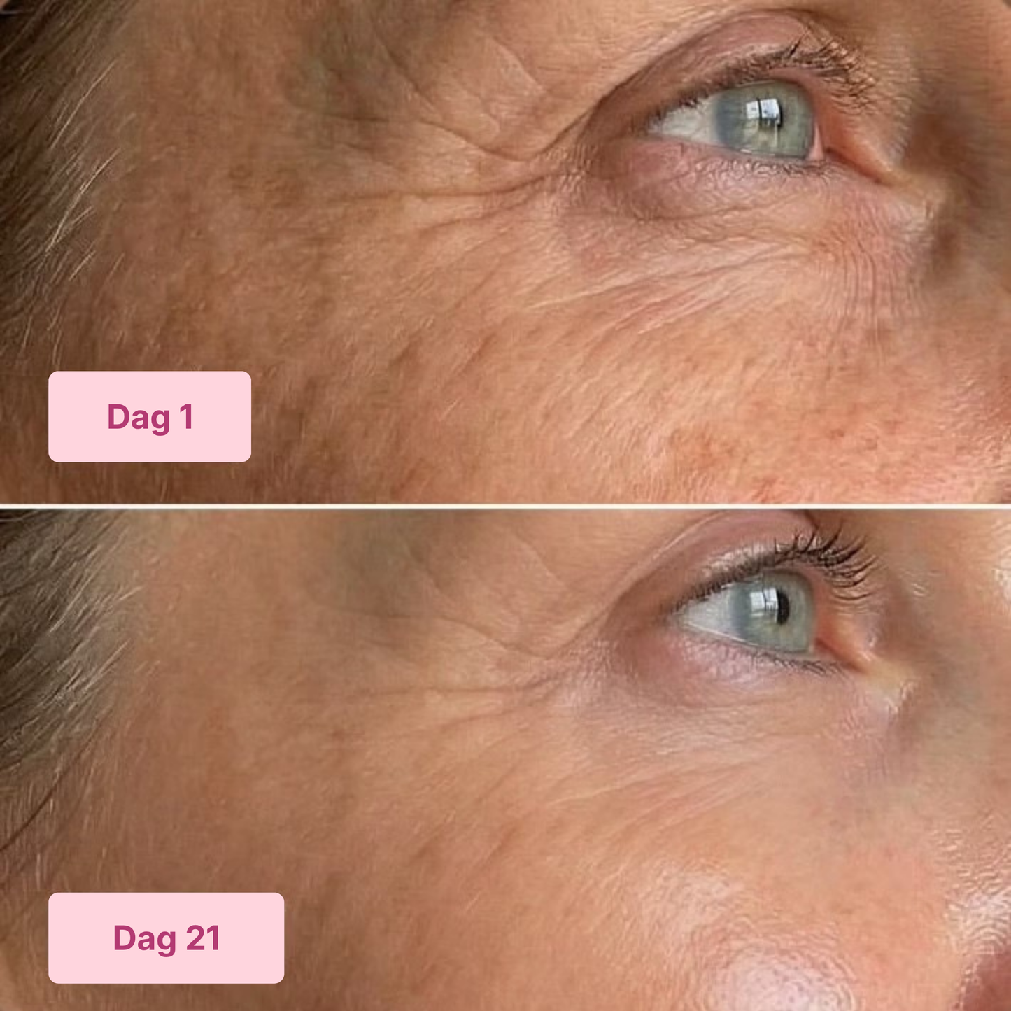 Triple Collagen Set Toner + Cream